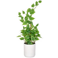 KUNSTPFLANZE Philodendron 60 cm  - Weiß/Grün, Basics, Kunststoff (60cm)