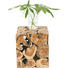 BLUMENSÄULE in Holz 40/50/40 cm - Naturfarben, LIFESTYLE, Holz (40/50/40cm) - Landscape BLUMENSÄULE in Holz 40/50/40 cm - Naturfarben, LIFESTYLE, Holz (40/50/40cm) - Landscape