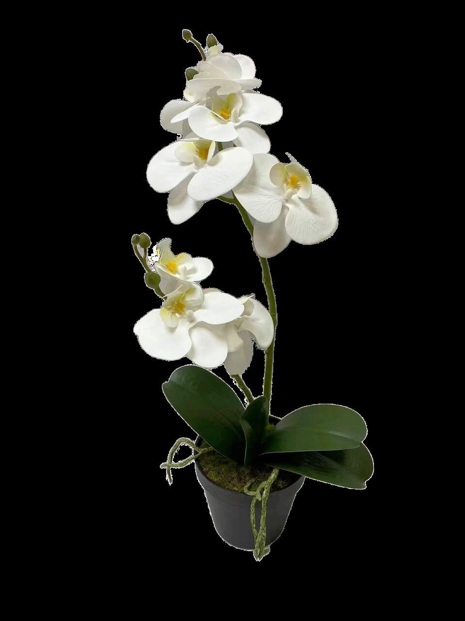 XXXLutz Kunstblume Creme, Weiß 55 cm