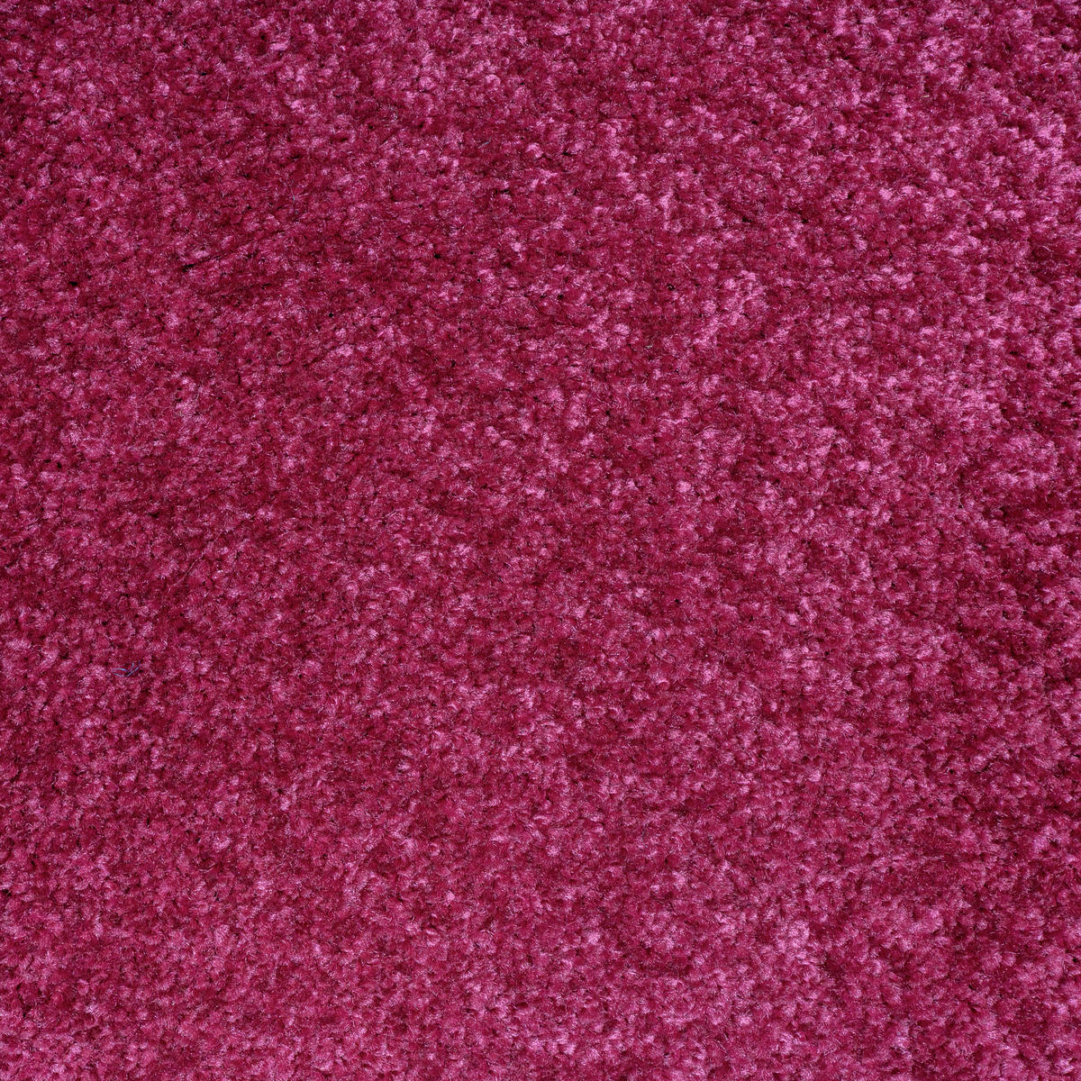 Teppichfliese Carousel 114 50/50 cm  in Lila  - Lila, Basics, Textil (50/50cm)