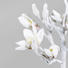 KUNSTBLUME Magnolie - Weiß, Kunststoff/Textil (49cm) KUNSTBLUME Magnolie - Weiß, Kunststoff/Textil (49cm)
