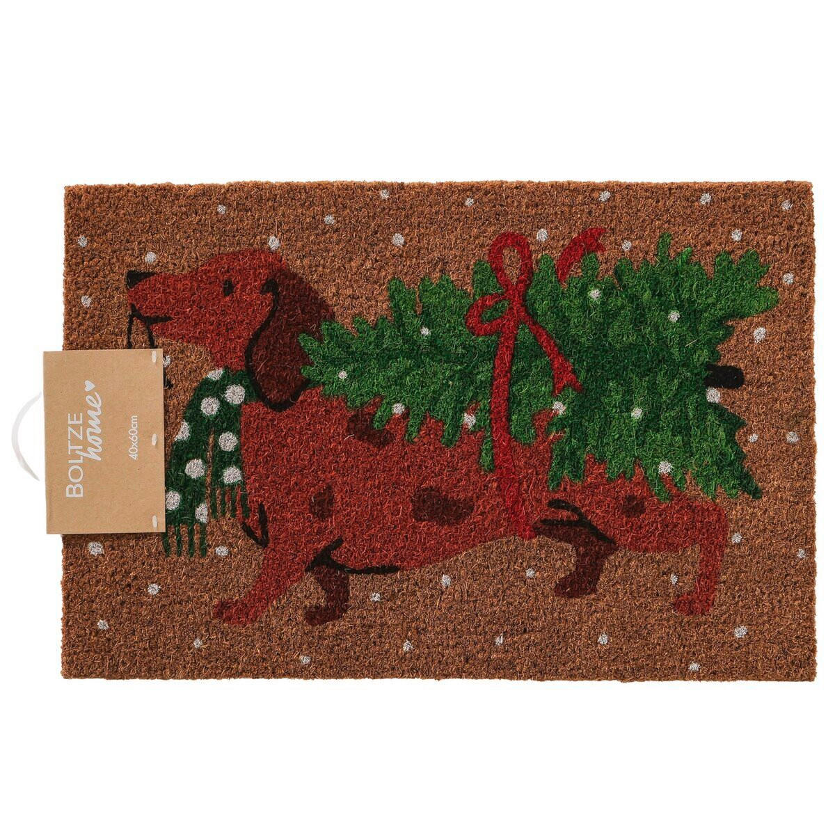 FUSSMATTE   Braun, Grün   - Braun/Grün, Basics, Kunststoff (60/40/1,5cm)