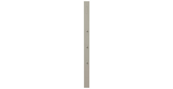 GARDEROBENPANEEL Taupe  - Taupe, Design, Metall (10/165/3cm) - Moderano