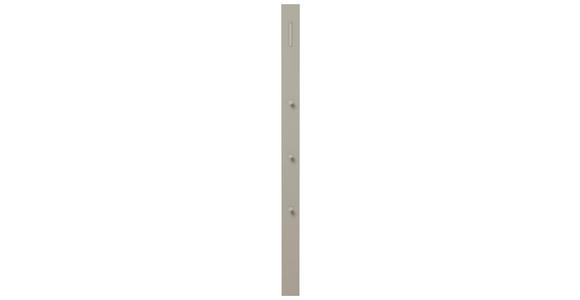 GARDEROBENPANEEL 10/165/3 cm - Taupe, Design, Holzwerkstoff/Metall (10/165/3cm) - Moderano