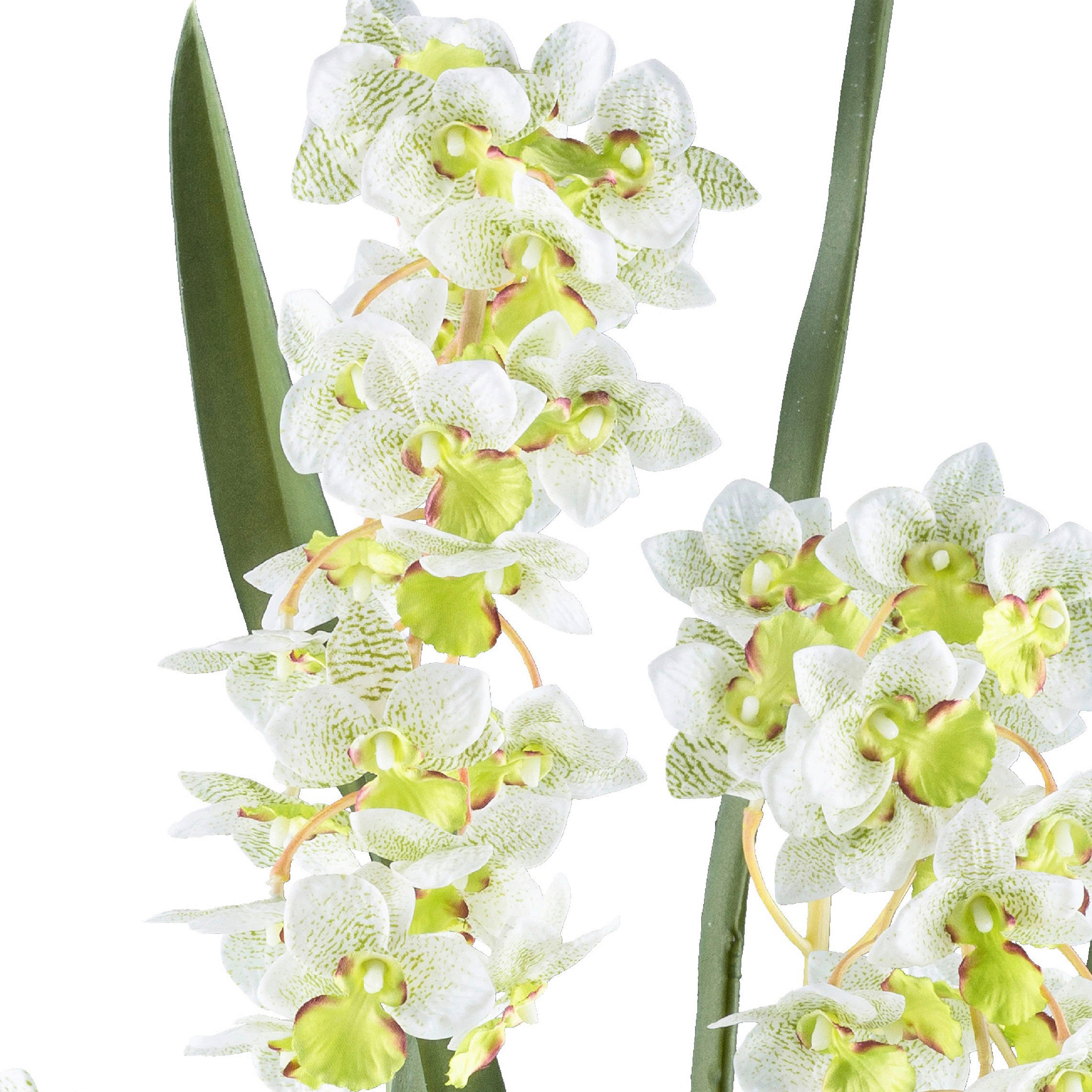 KUNSTPFLANZE Orchidee 80 cm  - Schwarz/Weiß, Design, Kunststoff (80cm) - P & B