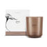 DUFTKERZE PURETÉ - Braun, Basics, Glas (11,5/11,5/12cm) - Ipuro DUFTKERZE PURETÉ - Braun, Basics, Glas (11,5/11,5/12cm) - Ipuro