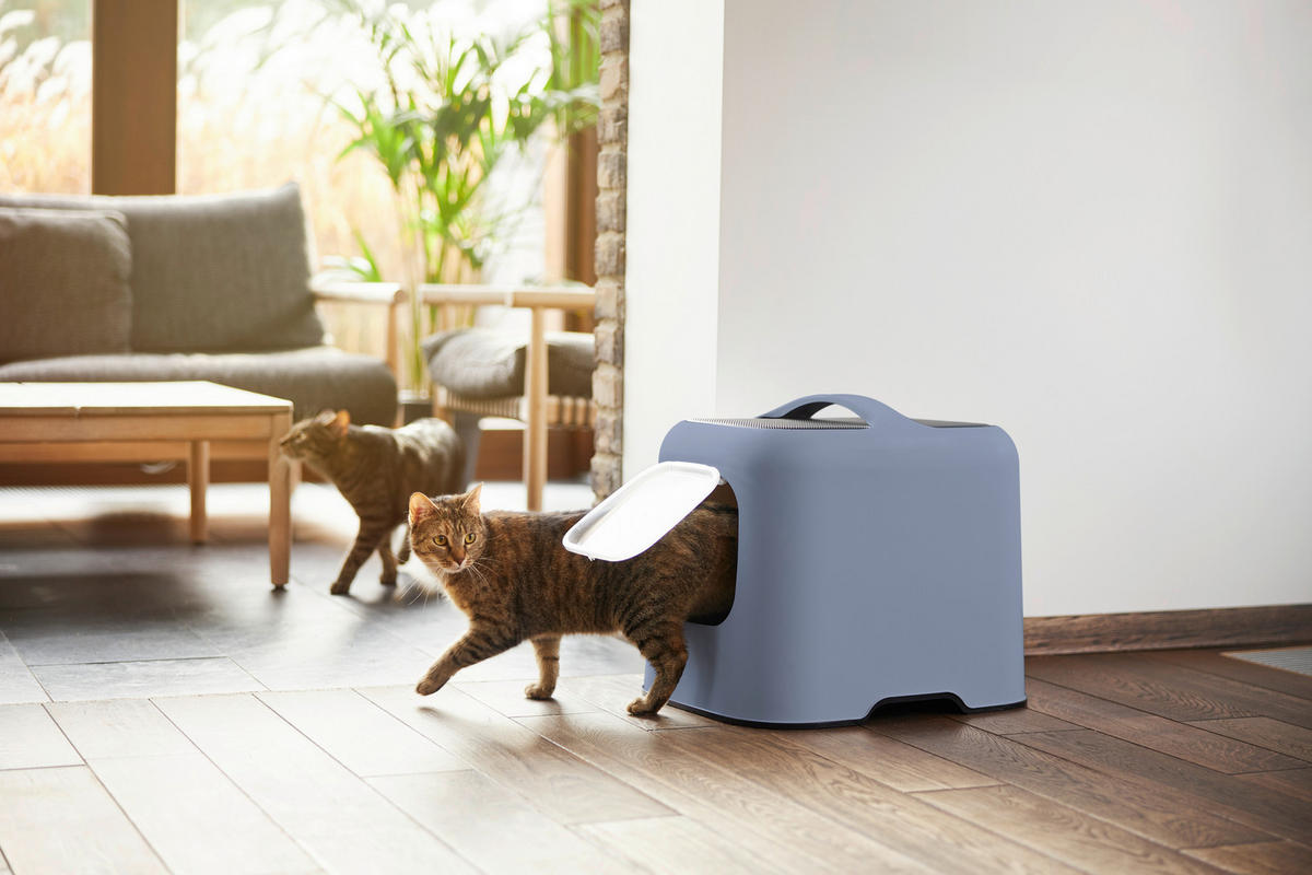 KATZENTOILETTE - Pastellblau, Basics, Kunststoff (39,5/44,3/51cm) - Rotho