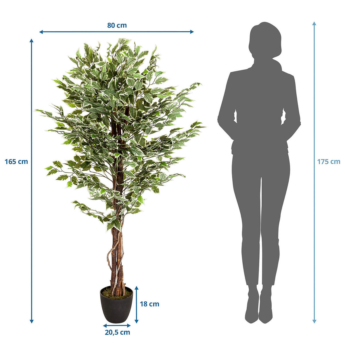 KONSTVÄXT Ficus Benjamina  - vit/grön, Basics, plast (80/165/80cm) - MID.YOU