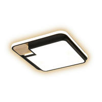 STROPNA LED-SVETILKA   47 W/2400 lm/4000 K/220-265 V/ - Design, kovina (50/6/50cm)