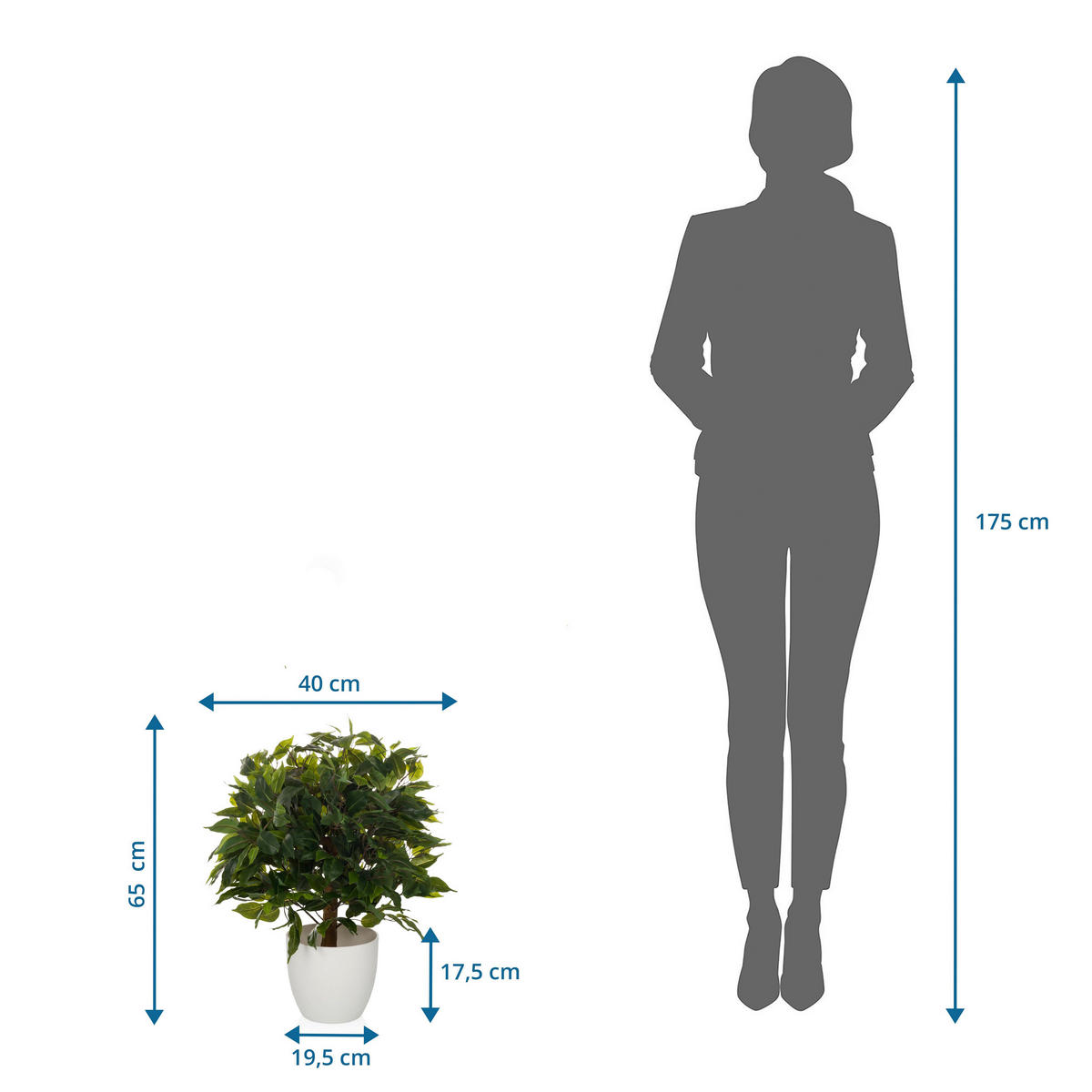 UMĚLÁ ROSTLINA fikus benjamín  - bílá/zelená, Moderní, plast (40/65/40cm) - MID.YOU