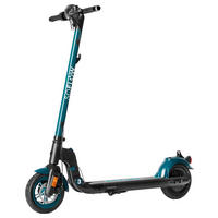 ELEKTROSCOOTER SOFLOW SO3 (2ND)  - Mintgrün/Grün, KONVENTIONELL, Metall (105,3/49/113,8cm)