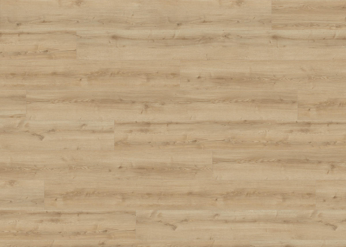 DESIGNBODEN Living by HARO Designboden PowerStar XL  per  m² - Hellbraun, Basics, Holzwerkstoff (24.3/220cm) - Living by HARO