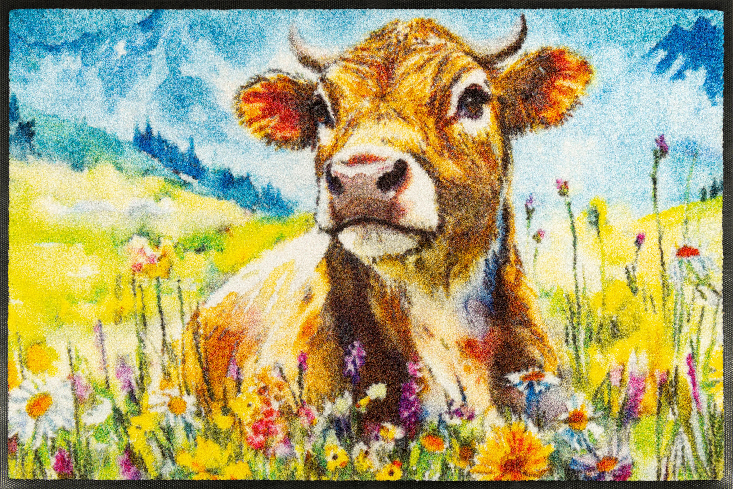 wash+dry FUßMATTE Lotti Mehrfarbig 50x75 cm