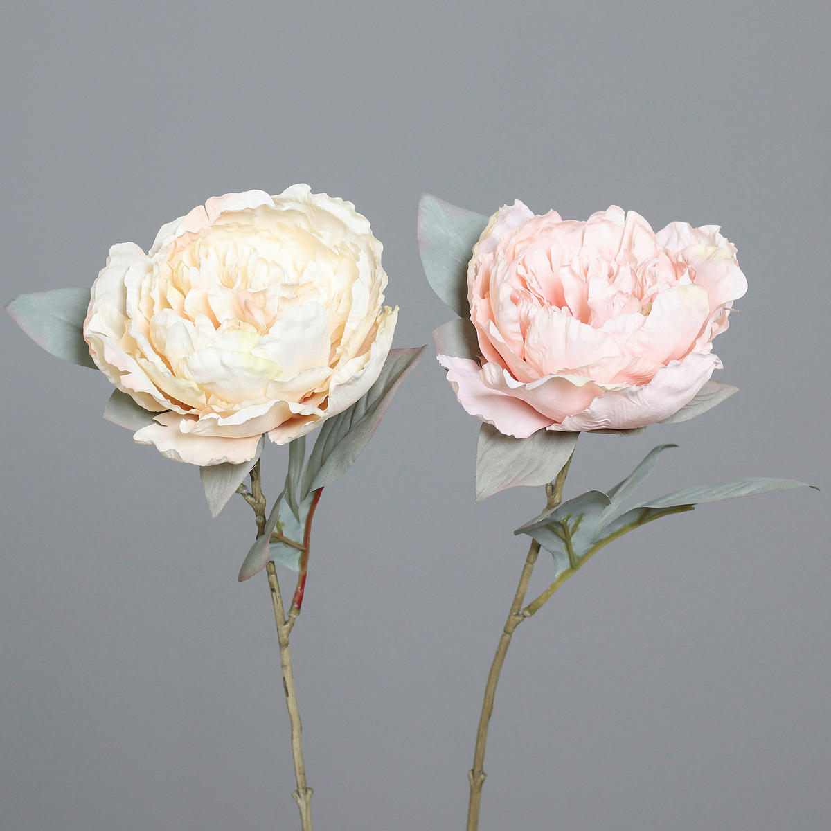 PFINGSTROSE - Hellrosa/Rosa, Basics, Kunststoff/Textil (66cm)