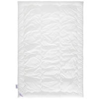 EGÉSZ ÉVES PAPLAN 140/200 cm  - fehér, Basics, textil (140/200cm) - Sleeptex