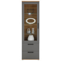 VITRINA, siva, hrast artisan - srebrne barve/siva, Trendi, umetna masa/steklo (60/203/38cm) - Carryhome
