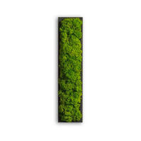 MOOSBILD  - Schwarz/Grün, Basics, Naturmaterialien/Holz (26/6/4cm)