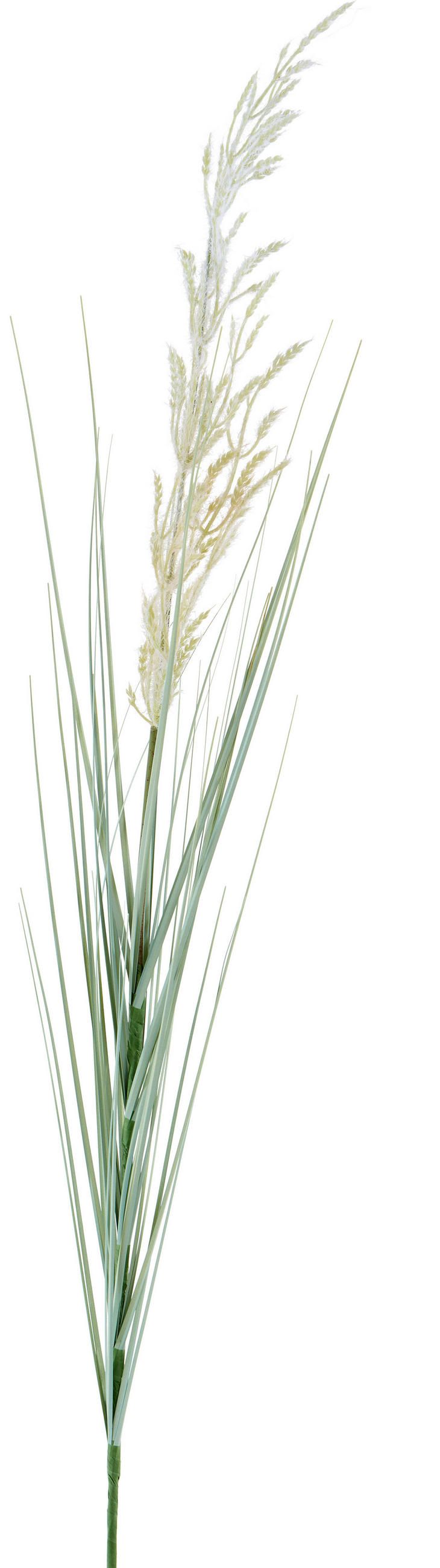 Kunstpflanze Grasbündel Creme/Grün L: 96 cm
