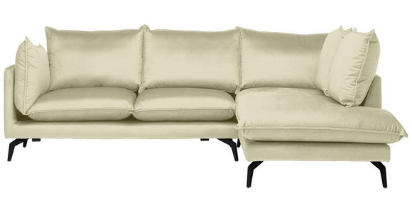 ECKSOFA in Samt Creme 241/200 cm - Creme/Schwarz, Design, Textil/Metall (241/200cm) - Carryhome