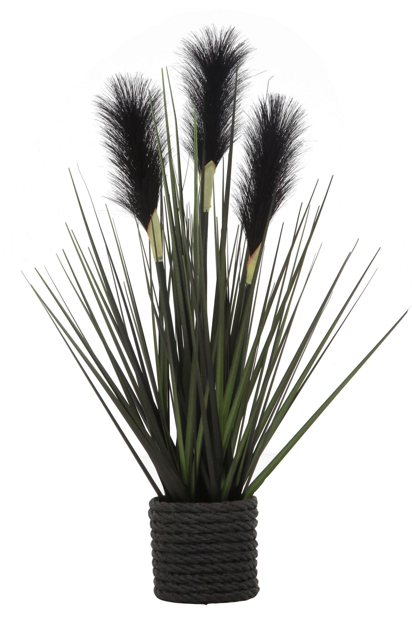 DEKOGRAS - Schwarz, Natur, Kunststoff/Metall (40cm) - Ambia Home