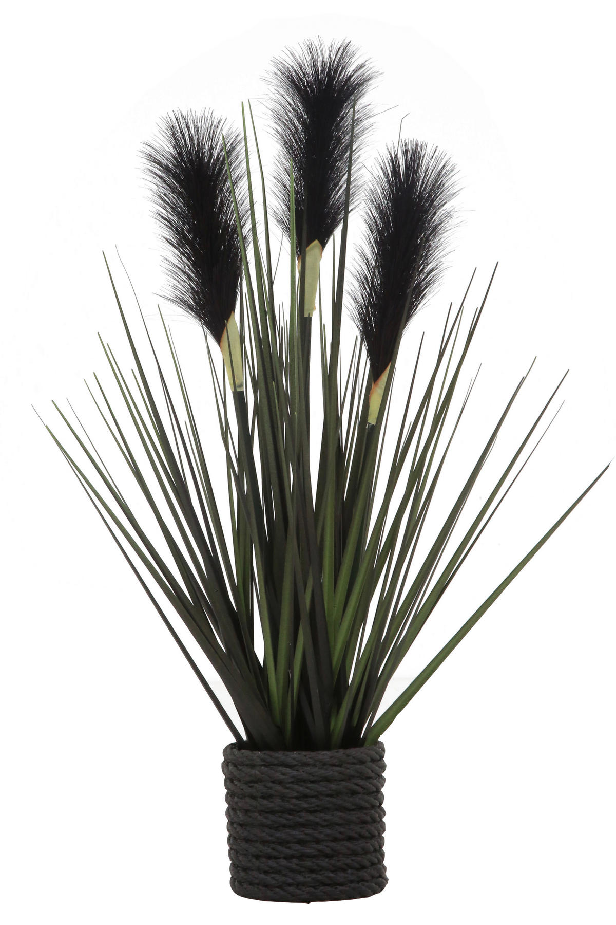 DEKOGRAS  - Schwarz, Natur, Kunststoff/Metall (40cm) - Ambia Home