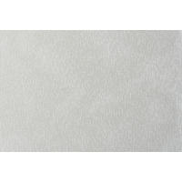 PROSOJNO BLAGO ZA ZAVESE           300 cm   ekru  - ekru, Basics, tekstil (300cm)