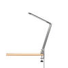 LED-KLEMMLEUCHTE 5/38 cm   - Anthrazit, Basics, Metall (5/38cm) - Fischer & Honsel