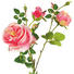 KUNSTBLUME - Pink/Grün, Basics, Kunststoff/Textil (60cm) KUNSTBLUME - Pink/Grün, Basics, Kunststoff/Textil (60cm)