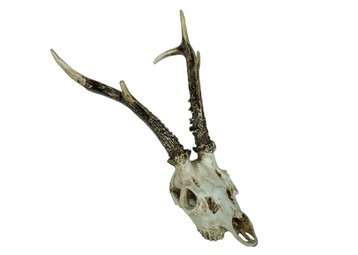 GEWEIH - Naturfarben, Basics, Kunststoff (23,5/39/24cm)