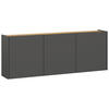 HÄNGESCHUHSCHRANK Graphitfarben, Eichefarben  - Eichefarben/Graphitfarben, Design, Holzwerkstoff (138/52/25cm)