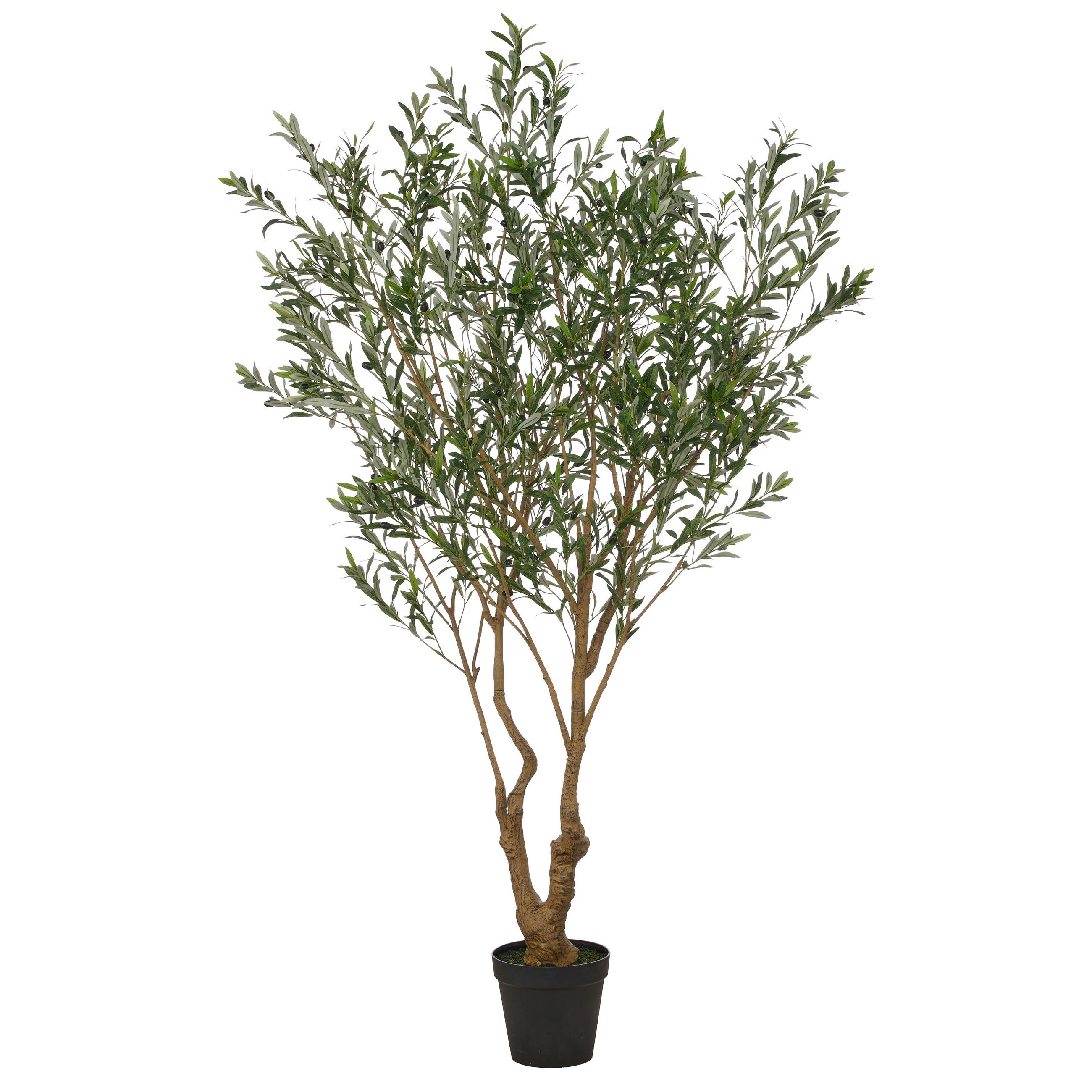KUNSTPFLANZE Olive 250 cm  - Schwarz/Braun, Basics, Kunststoff (250cm)