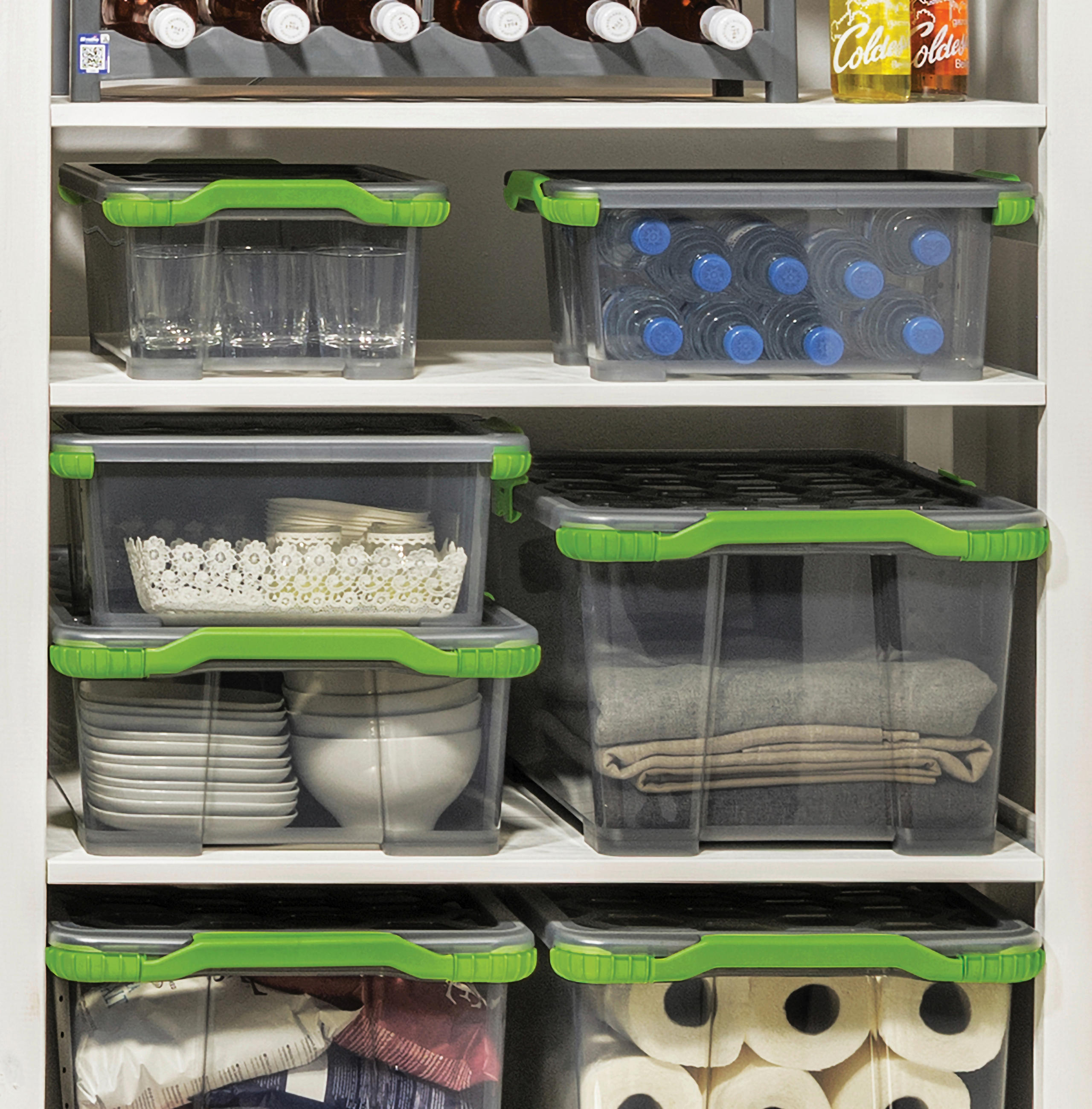 BOX S VÍKEM, 44 l - zelená/antracitová, Basics, plast (59/39,5/28cm) - Rotho