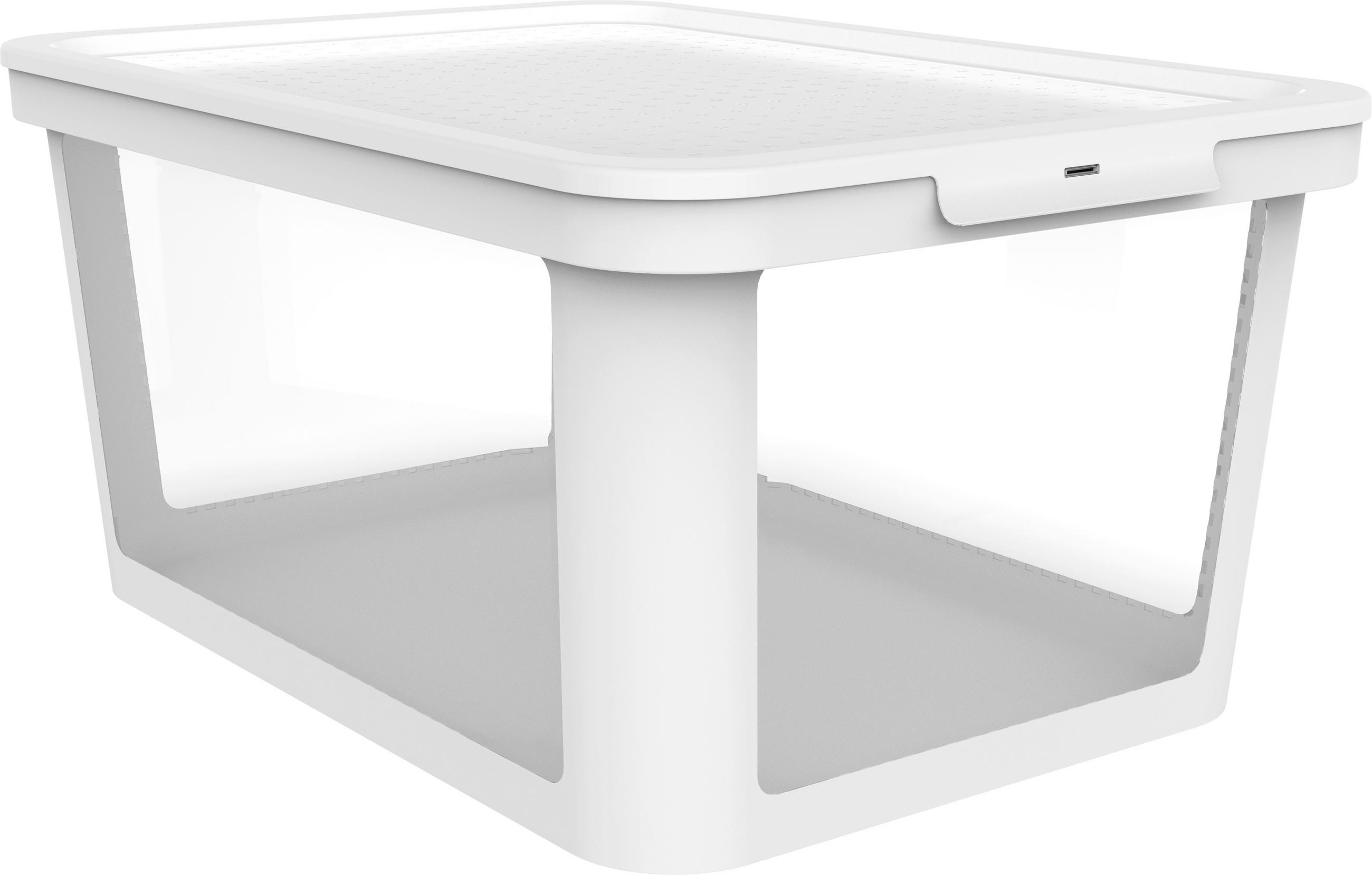 BOX MIT DECKEL Albris  - Weiß, KONVENTIONELL, Kunststoff (57/39,2/27cm) - Rotho