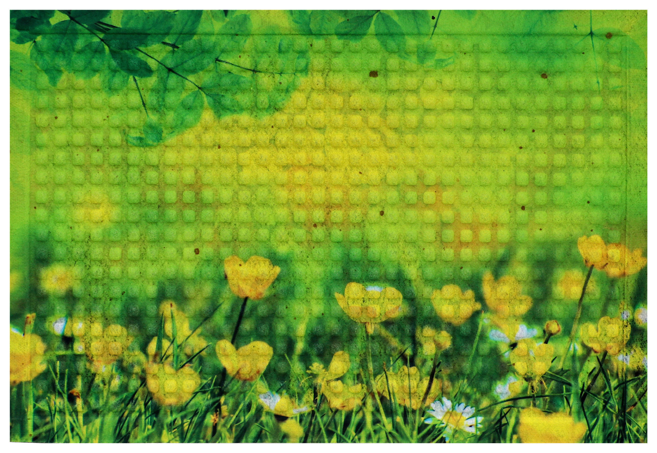ROHOŽKA, 40/60 cm - žltá/zelená, Basics, textil/plast (40/60cm)