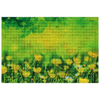 DVEŘNÍ ROHOŽKA, 40/60 cm - zelená/žlutá, Basics, textil/plast (40/60cm)