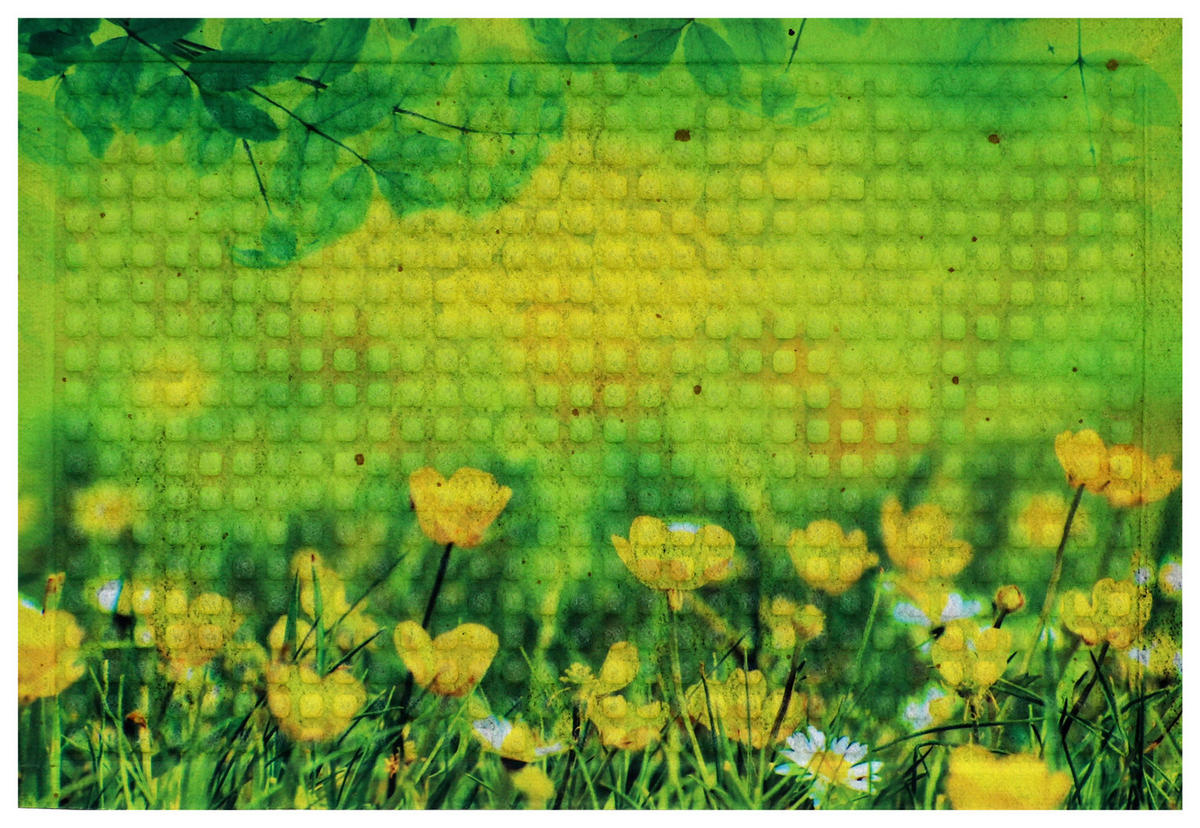 DVEŘNÍ ROHOŽKA, 40/60 cm - zelená/žlutá, Basics, textil/plast (40/60cm)