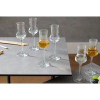 SET DE PAHARE PENTRU TĂRIE - străveziu, Basics, sticlă (95ml) - Schott Zwiesel