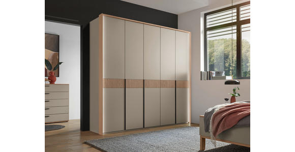 DREHTÜRENSCHRANK  in Taupe, Eichefarben  - Taupe/Eichefarben, Design, Holz/Holzwerkstoff (249,6/229,4/59,5cm) - Dieter Knoll