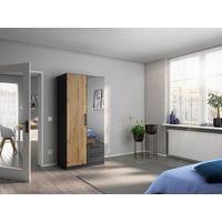 DREHTÜRENSCHRANK 91/197/54 cm,  in Grau, Eiche Artisan, 2 Tür(en)  - Eiche Artisan/Grau, MODERN, Holzwerkstoff/Kunststoff (91/197/54cm) - Rauch Möbel