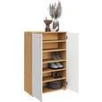 SCHUHSCHRANK 70/106/33,4 cm  - Alufarben/Weiß, KONVENTIONELL, Holzwerkstoff/Kunststoff (70/106/33,4cm) - Xora