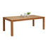 GARTENTISCH - Teakfarben, Design, Holz (220/100/76cm) - Ambia Garden GARTENTISCH - Teakfarben, Design, Holz (220/100/76cm) - Ambia Garden