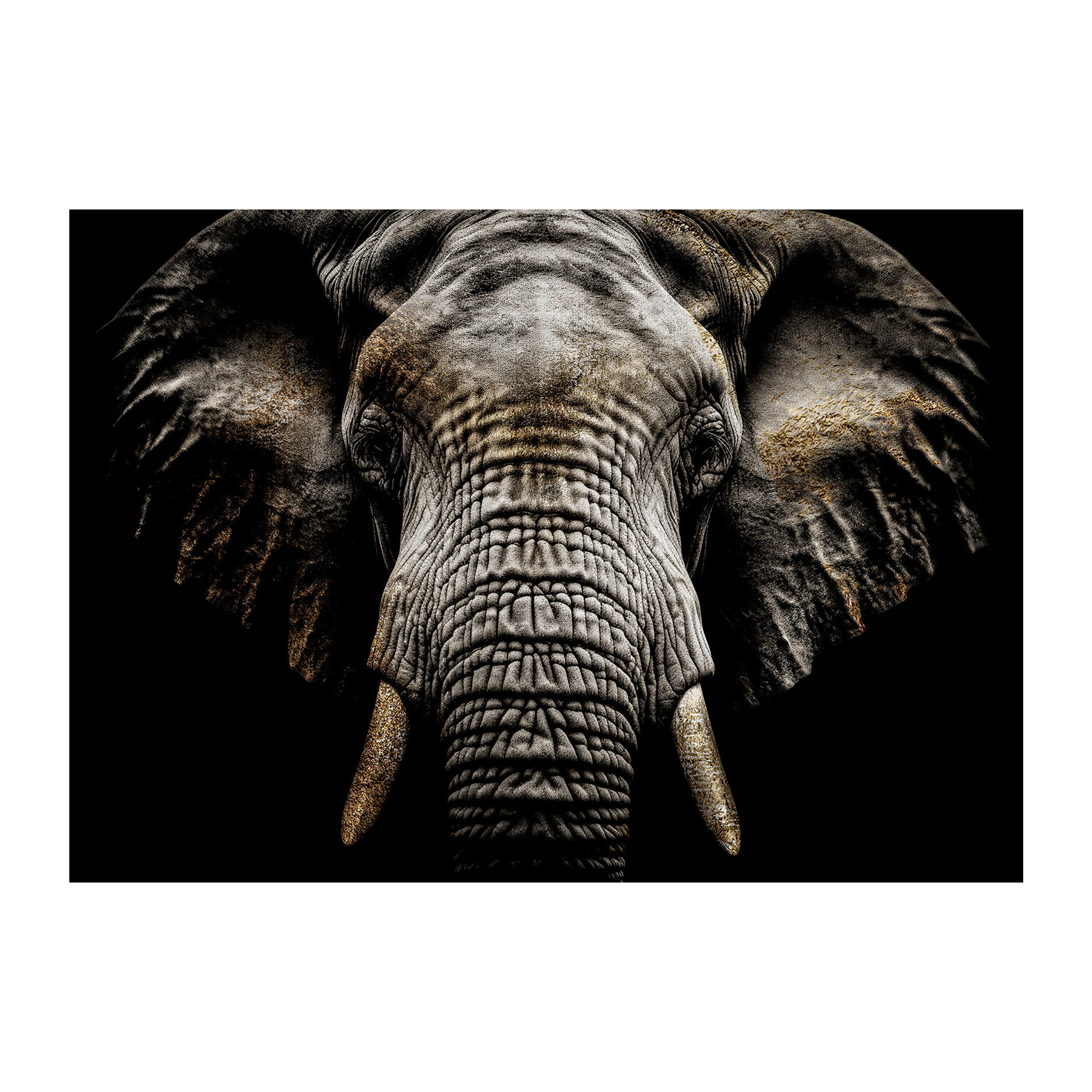 LEINWANDBILD Tiere 85/113 cm  - Silberfarben/Schwarz, Basics, Holz/Textil (85/113cm)