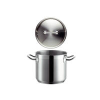 GEMÜSETOPF Professional 2,9 l  - Silberfarben, Basics, Metall (16/14,8/24,5cm) - Mäser