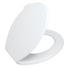 WC-SITZ Weiß - Weiß, Basics, Kunststoff (38/5,5/46cm) WC-SITZ Weiß - Weiß, Basics, Kunststoff (38/5,5/46cm)