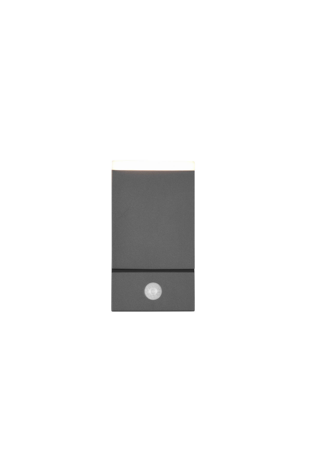 VÄGGLAMPA FÖR UTOMHUS - antracit, Basics, metall/plast (11/9/16cm) - Trio Leuchten