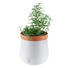 PFLANZTOPF - Terra cotta/Weiß, KONVENTIONELL, Glas/Keramik (15,60/16,50/15,60cm) - Leonardo PFLANZTOPF - Terra cotta/Weiß, KONVENTIONELL, Glas/Keramik (15,60/16,50/15,60cm) - Leonardo