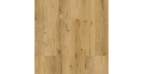 Vinylboden Eiche Bregenz  per  m² - Eichefarben, Design, Holzwerkstoff/Kunststoff (123,5/23/0,98cm) - Venda