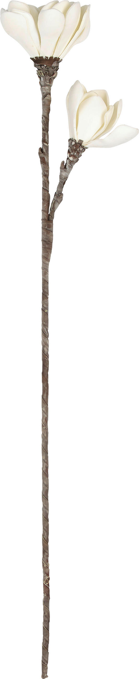UMELÝ KVET 92 cm - hnedá/biela, Basics, kov/plast (92cm) - Ambia Home