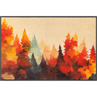 FUßMATTE 50/75 cm wash+dry  - Multicolor, Natur, Kunststoff/Textil (50/75cm) - wash+dry