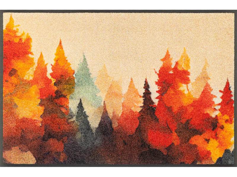 Covoraș De Intrare 50/75 cm